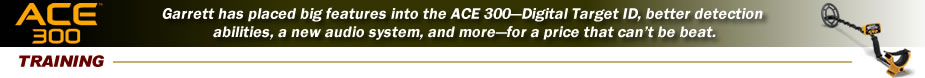 ACE 300 Training Videos