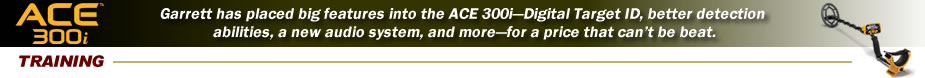 ACE 300i Training Video