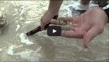Operating the Garrett Pro-Pointer in Saltwater